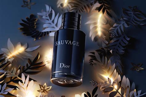 sauvage dior price in egypt